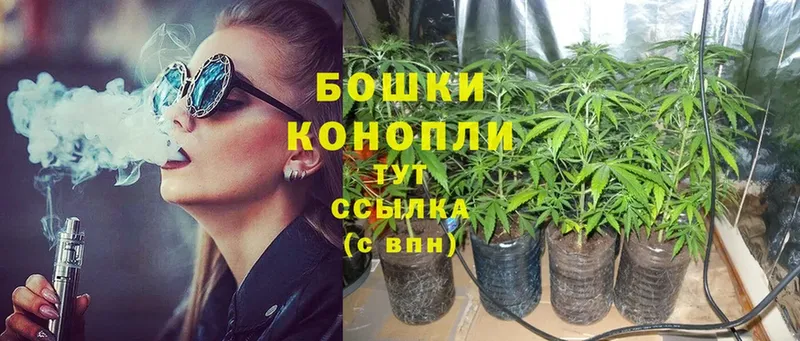 где продают наркотики  Лесозаводск  Конопля White Widow 